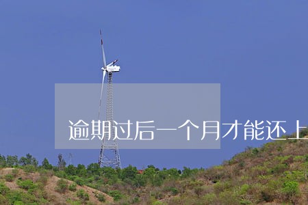 逾期过后一个月才能还上算老赖吗 逾期过后一个月才能还上算老赖吗