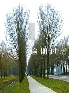 逾期过后会每次都给家人打电话吗 逾期过后会每次都给家人打电话吗
