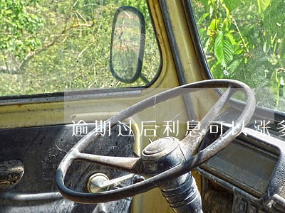 逾期过后利息可以涨多少 逾期过后利息可以涨多少