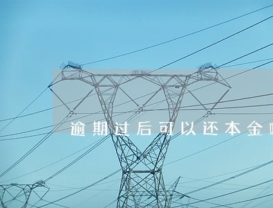逾期过后可以还本金吗 逾期过后可以还本金吗
