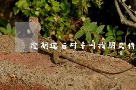 逾期过后对手叫找朋友借钱违法么 逾期过后对手叫找朋友借钱违法么