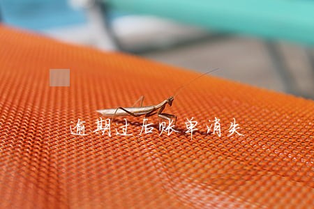 逾期过后账单消失