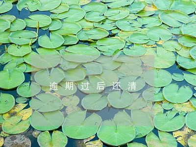 逾期过后还清 逾期过后还清