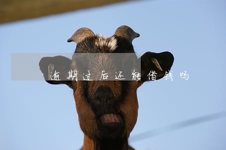 逾期过后还能借钱吗