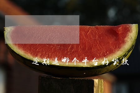 逾期过哪个平台好贷款 逾期过哪个平台好贷款