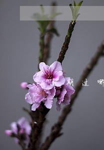 逾期过哪些贷款平台容易通过 逾期过哪些贷款平台容易通过