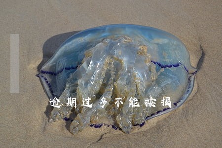 逾期过多不能按揭 逾期过多不能按揭