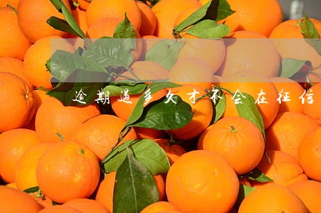 逾期过多久才不会在征信上显示