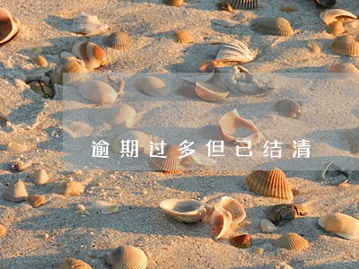 逾期过多但已结清 逾期过多但已结清