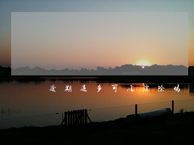 逾期过多可以消除吗