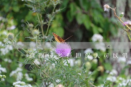 逾期过多有担保人可以借款么 逾期过多有担保人可以借款么