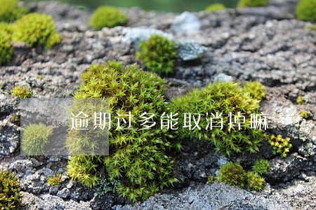 逾期过多能取消掉嘛 逾期过多能取消掉嘛
