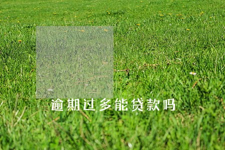 逾期过多能贷款吗 逾期过多能贷款吗