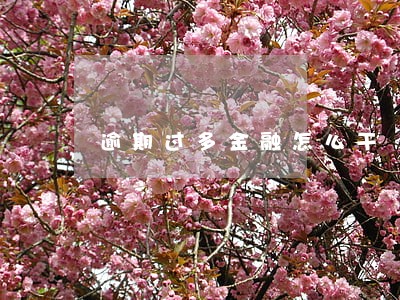 逾期过多金融怎么干