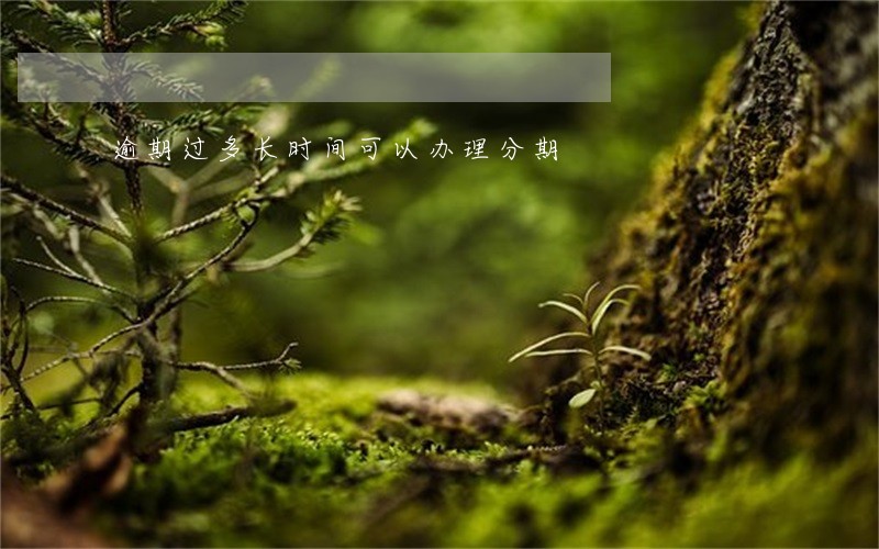 逾期过多长时间可以办理分期 逾期过多长时间可以办理分期