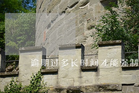 逾期过多长时间才能强制执行