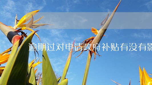 逾期过对申请政府补贴有没有影响