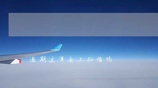 逾期过年会上征信吗 逾期过年会上征信吗