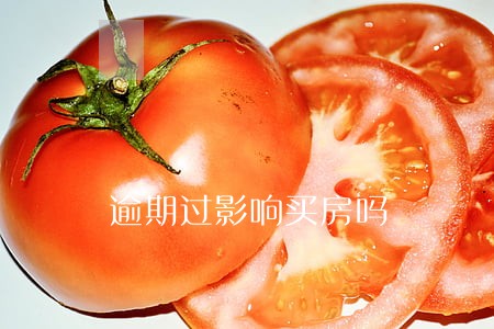 逾期过影响买房吗 逾期过影响买房吗