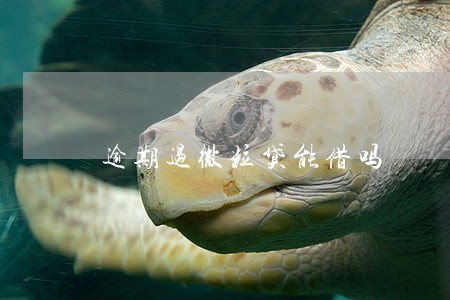 逾期过微粒贷能借吗