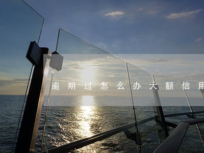 逾期过怎么办大额信用卡 逾期过怎么办大额信用卡