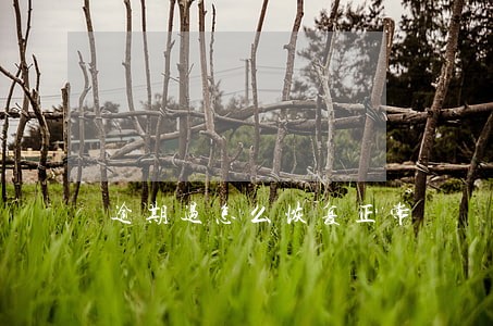 逾期过怎么恢复正常 逾期过怎么恢复正常