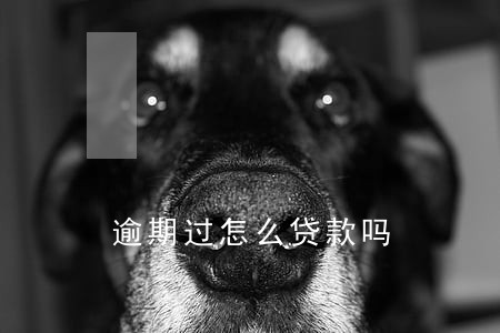 逾期过怎么贷款吗 逾期过怎么贷款吗