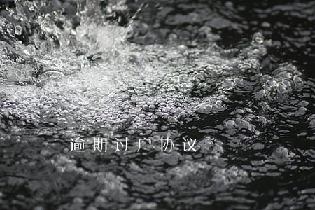 逾期过户协议 逾期过户协议