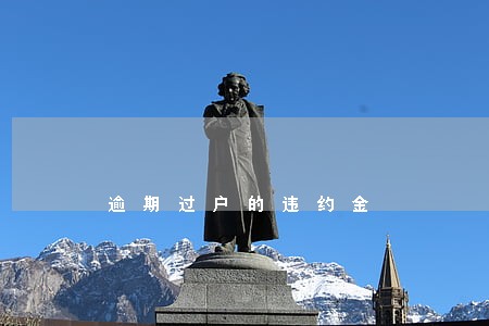 逾期过户的违约金 逾期过户的违约金