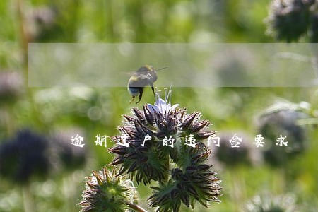 逾期过户的违约金要求 逾期过户的违约金要求