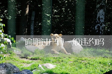 逾期过户算一般违约吗 逾期过户算一般违约吗