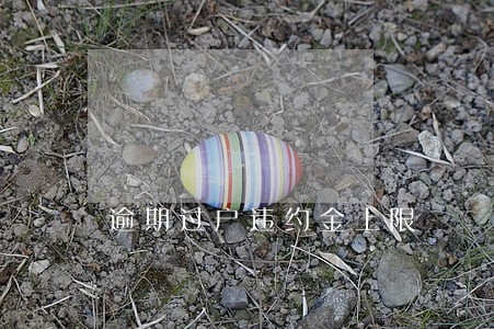 逾期过户违约金上限 逾期过户违约金上限