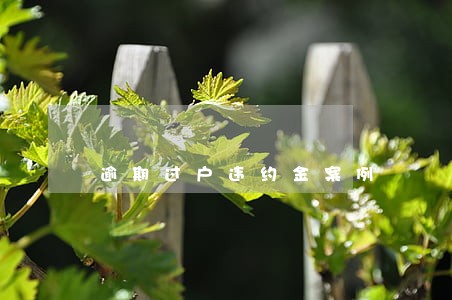 逾期过户违约金案例 逾期过户违约金案例