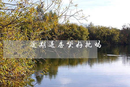 逾期过房贷好批吗 逾期过房贷好批吗