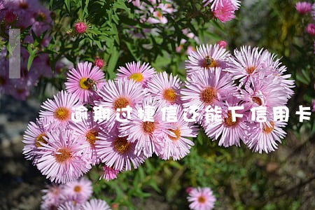 逾期过捷信还能下信用卡吗 逾期过捷信还能下信用卡吗