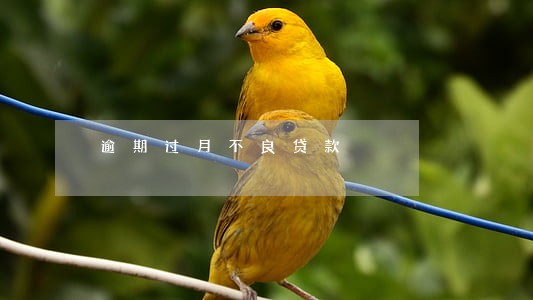 逾期过月不良贷款 逾期过月不良贷款