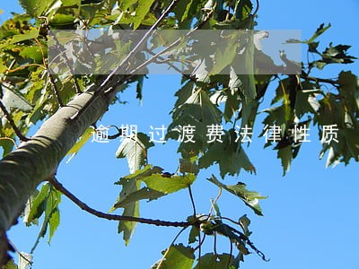 逾期过渡费法律性质 逾期过渡费法律性质