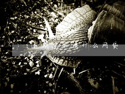 逾期过申请什么网贷