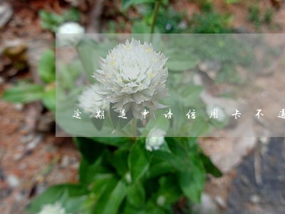 逾期过申请信用卡不通过吗 逾期过申请信用卡不通过吗