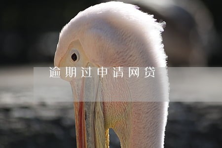 逾期过申请网贷 逾期过申请网贷