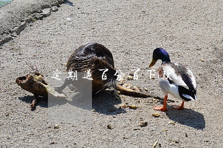 逾期过百分百下款