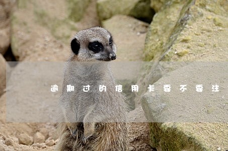 逾期过的信用卡要不要注销 逾期过的信用卡要不要注销