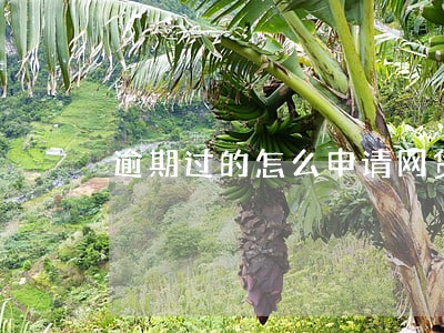 逾期过的怎么申请网贷 逾期过的怎么申请网贷