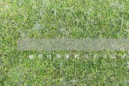 逾期过的手机可不可以分期 逾期过的手机可不可以分期