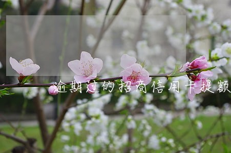 逾期过的招商信用卡提额度 逾期过的招商信用卡提额度
