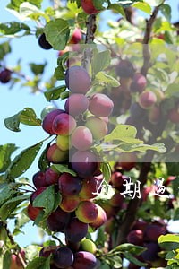 逾期过的网贷还清了还能贷吗 逾期过的网贷还清了还能贷吗