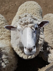逾期过的能办银行卡吗 逾期过的能办银行卡吗