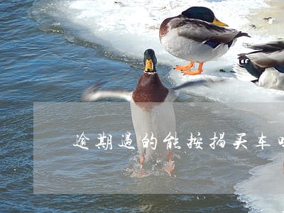 逾期过的能按揭买车吗 逾期过的能按揭买车吗