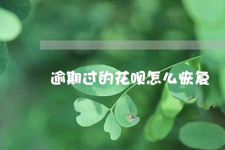 逾期过的花呗怎么恢复