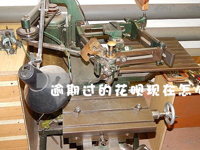 逾期过的花呗现在怎么恢复 逾期过的花呗现在怎么恢复